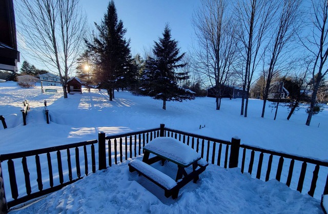 Adirondack Cozy Cottage Hideaway