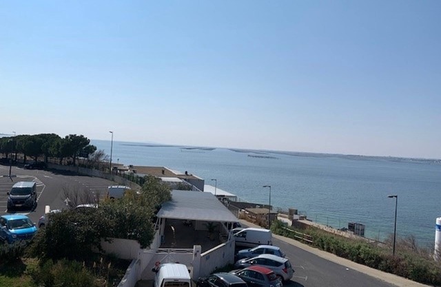 Air-conditioned apartment in Balaruc-les-Bains with balcony, parking, and pets allowed