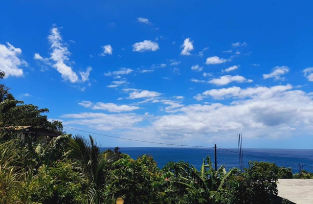 Air Conditioned House With Garden and Ocean Views For Family And Adventure