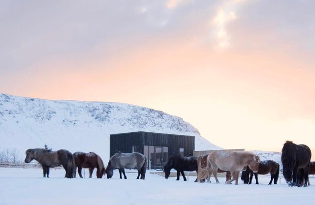 Akurgerði Guesthouse 4 - Country Life Style
