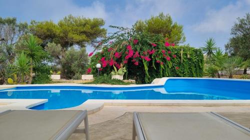 Al Marchello by LoveSud