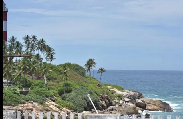 Al Packbag premium beach hotel light house kovalam