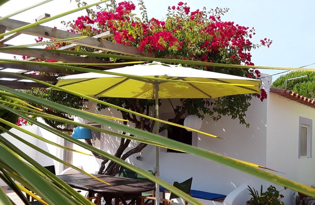 Alentejo Nature Tourism Families with children 5 to 6 people