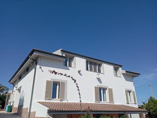 All ombra del carrubo