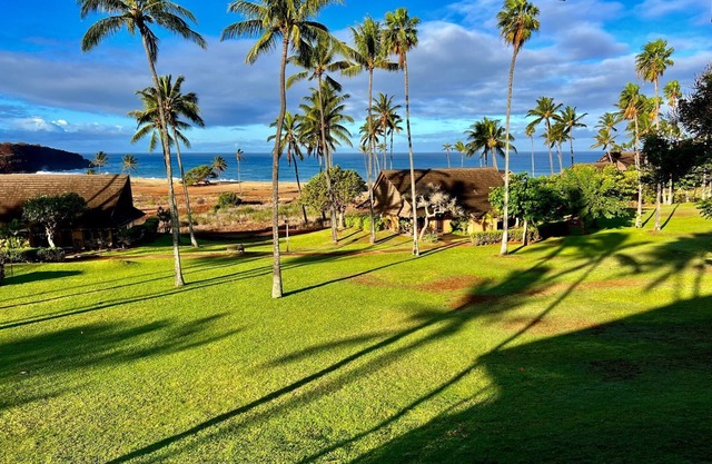Aloha! Hawaii. Walk to the beach