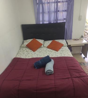 Amanecer Campestre bajo el Ceibo