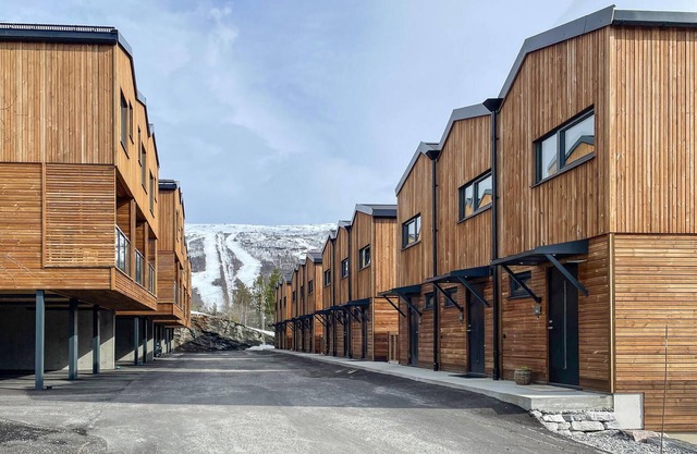 Amazing apartment in Bjorli