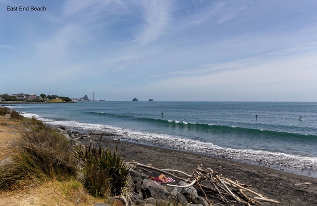Amazing Beach-Side Bach 100m from East End Beach
