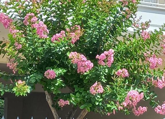 Amazing Theokritoy B2 in Tripolis free parking