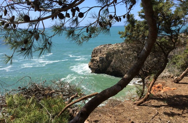 Amazing view Villa of S. Pedro do Estoril Beach