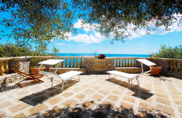 Among the Olives 648