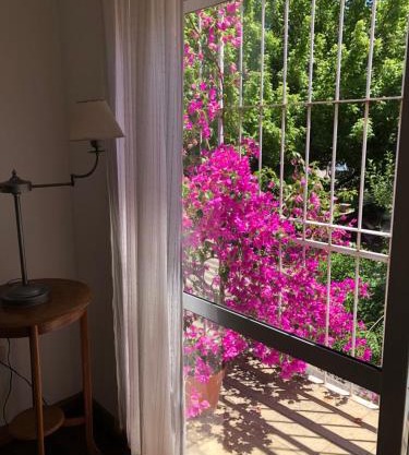 AMPLIO DEPARTAMENTO EN SANTA ROSA