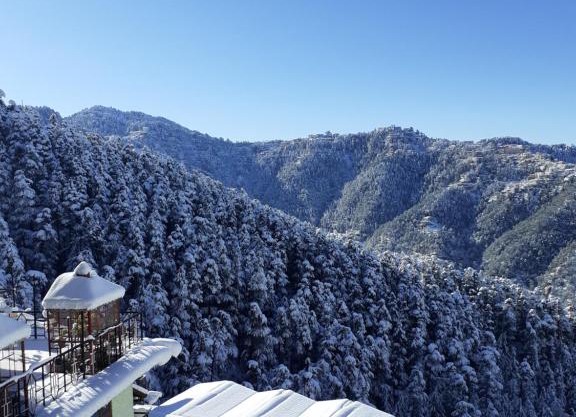 Anand Niketan Homestay Shimla