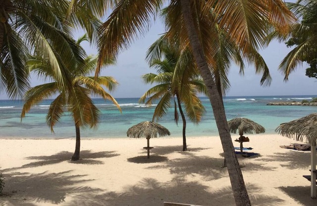 Anse des rochers, very pretty "Bamboo" studio 30 meters from the beach.