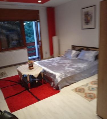 Apartament cu 2 dormitoare și terasa Valentin, Iulius Mall