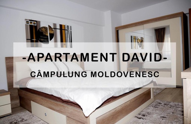 Apartament David