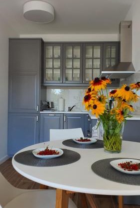 APARTAMENT WILKASY II (k. Giżycka)