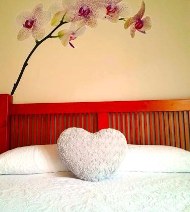 Apartamento turístico Amantes