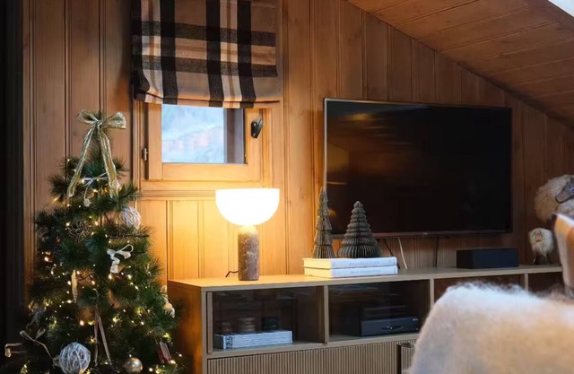 Apartment overlooking the Mont Blanc Massif