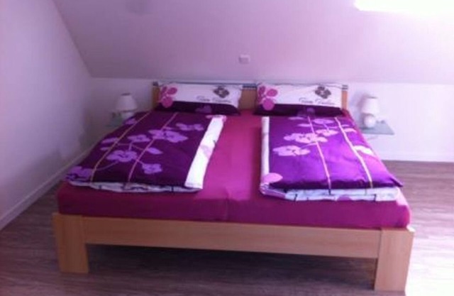 Apartment Ammerland - holiday domicile in the countryside