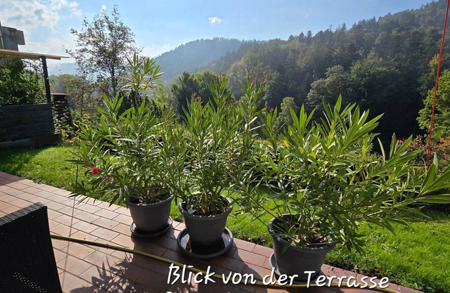Apartment 'Burkhardt' with Mountain View, Private Terrace and Wi-Fi