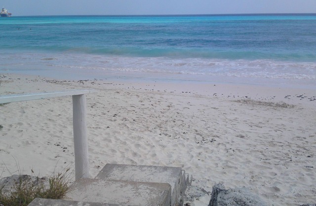 Apartment Close To All The Action In Barbados.