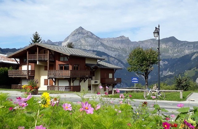 Apartment for 4 with parking, near slopes, pets allowed