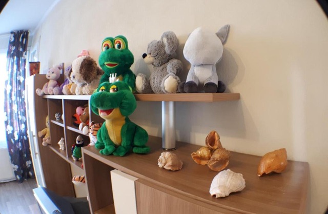 Apartment Guest house on Veterans