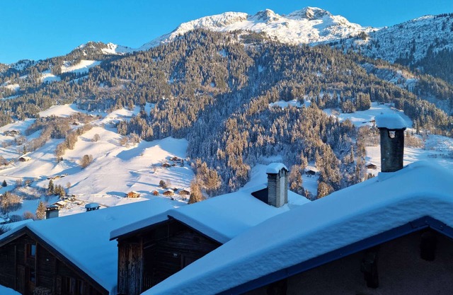 Apartment Hauteluce, 1 bedroom, 4 persons