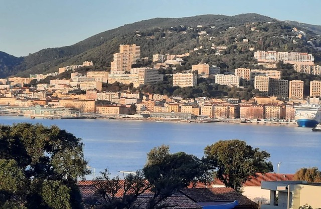 Apartment in Ajaccio quiet and air-conditioned 5 minutes from the fully equipped beach on foot