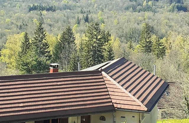 Apartment in chalet house Haut Jura