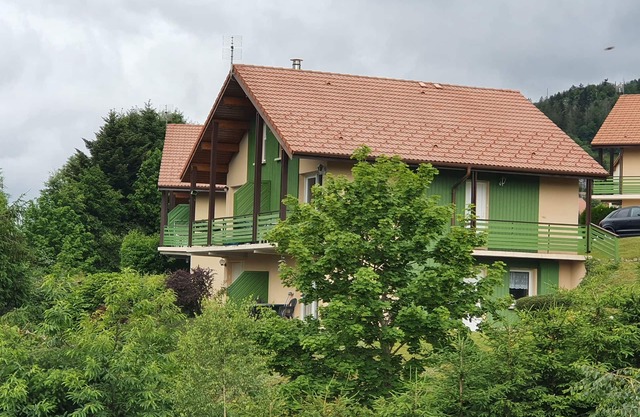 Apartment in chalet, swimming pool, sleeps 6, lake proximity, Gérardmer