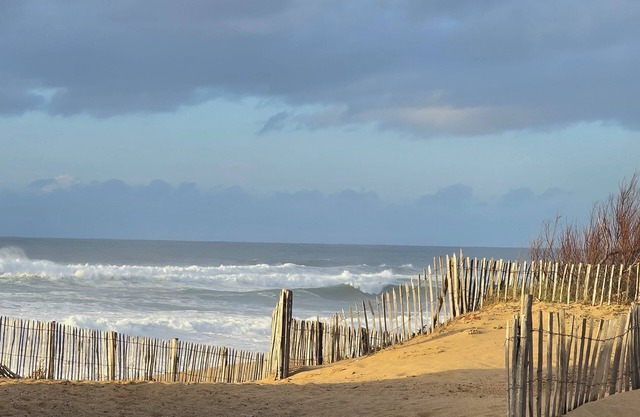 Apartment in Landes for 6/7 persons, pet friendly