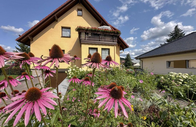 Apartment in the Thuringian Forest with balcony