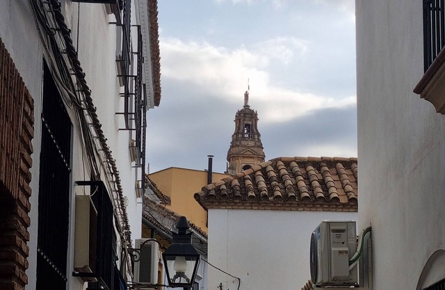 APARTMENT IN THE COURTYARD OF THE JUDERIA OF CORDOBA