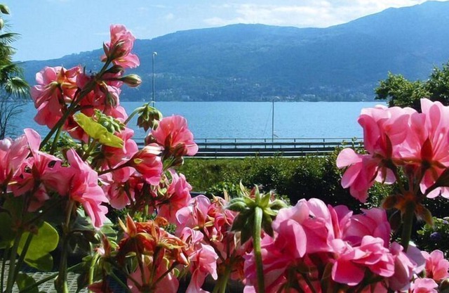 Apartment in Verbania near the lake