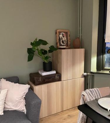 Apartment in Vika - oldo