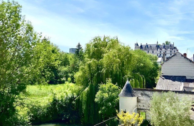 Apartment 'La Tourelle Des Cordeliers' with Private Terrace, Shared Garden and Wi-Fi