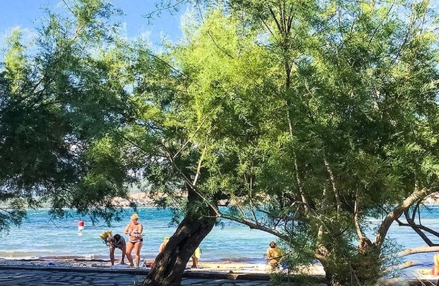 Apartment Niko - 40m from the beach: A1(2+2) - Donji Karin, Zadar riviera, Croatia