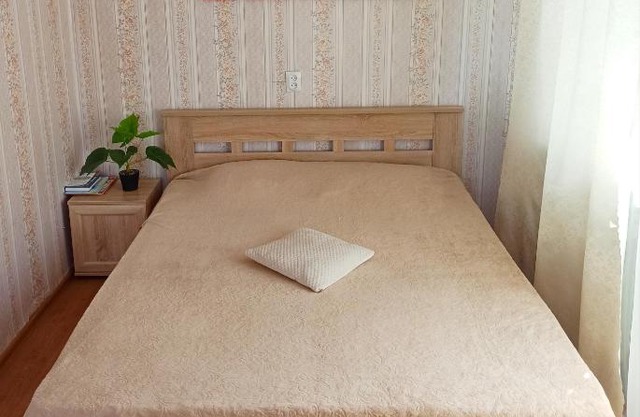 Apartment on Guseva 5