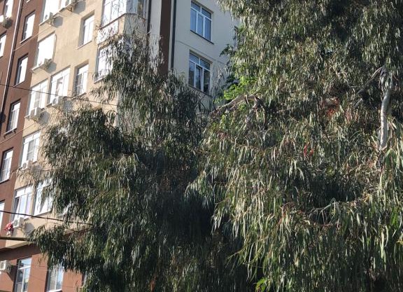 Apartment on Orbitovskaya