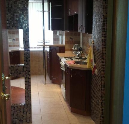 Apartment Posadskaya