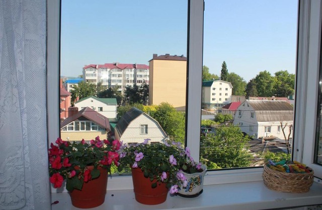 Apartment Shevchenko 241