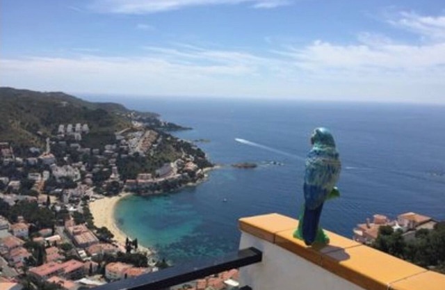 Apartment with splendid sea view over Rosas bay and Canyelles beach