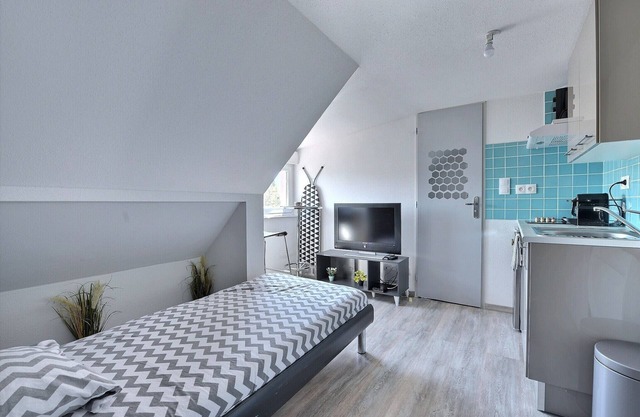 Appartement 1 Pièce Pleins de Charme