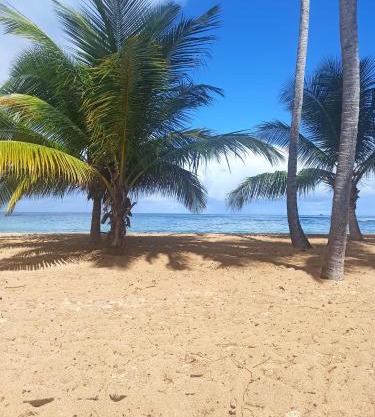 Appartement Alizé Vue Imprenable Sur La mer