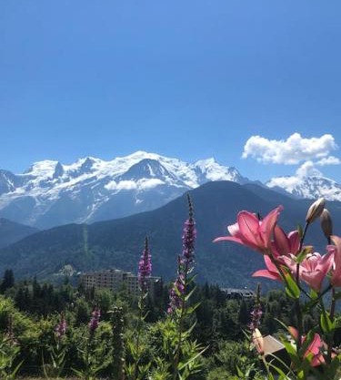 Appartement au pays du Mont-Blanc