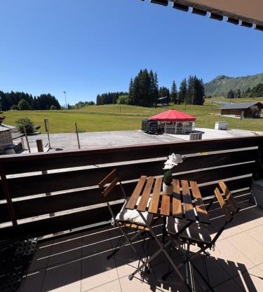Appartement cosy à la montagne aux pieds des pistes pour 4 personnes et 1 bébé