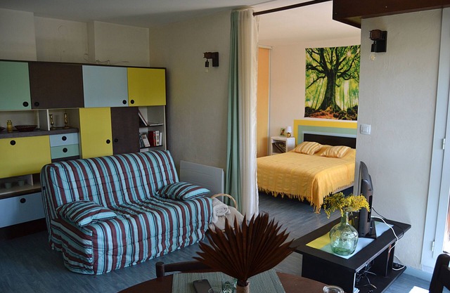 Appartement de 50 m2, à Hauteur de la Canopée et à 500m de la Plage