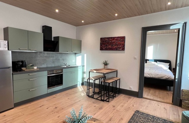 Appartement de Charme Type F2 Mulhouse Ville